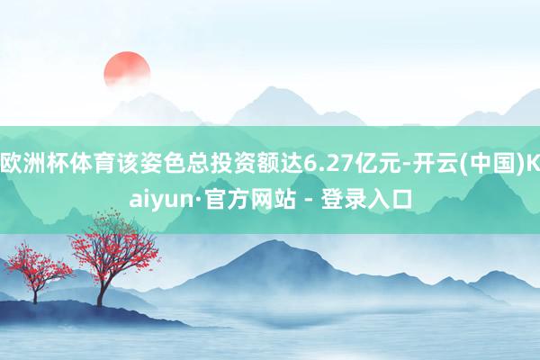 欧洲杯体育该姿色总投资额达6.27亿元-开云(中国)Kaiyun·官方网站 - 登录入口