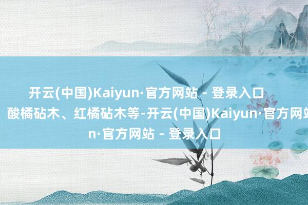 开云(中国)Kaiyun·官方网站 - 登录入口 旺树、花少、酸橘砧木、红橘砧木等-开云(中国)Kaiyun·官方网站 - 登录入口