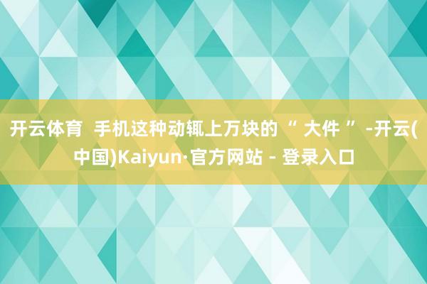 开云体育  手机这种动辄上万块的 “ 大件 ” -开云(中国)Kaiyun·官方网站 - 登录入口