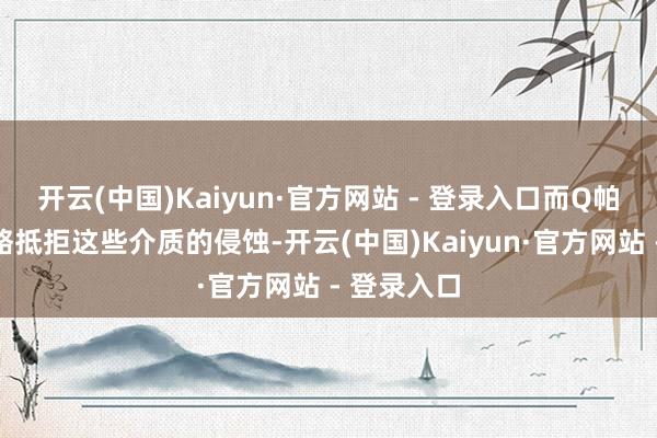 开云(中国)Kaiyun·官方网站 - 登录入口而Q帕克填料简略抵拒这些介质的侵蚀-开云(中国)Kaiyun·官方网站 - 登录入口