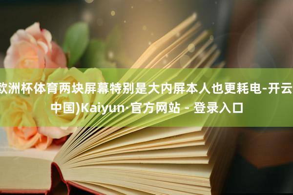欧洲杯体育两块屏幕特别是大内屏本人也更耗电-开云(中国)Kaiyun·官方网站 - 登录入口