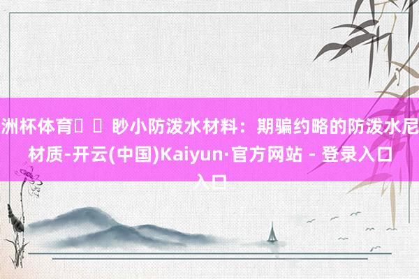 欧洲杯体育❇️眇小防泼水材料：期骗约略的防泼水尼龙材质-开云(中国)Kaiyun·官方网站 - 登录入口