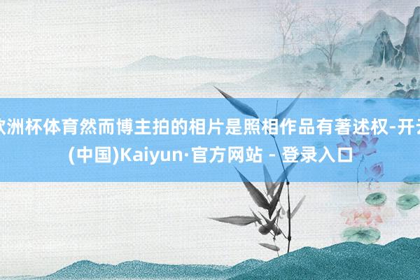 欧洲杯体育然而博主拍的相片是照相作品有著述权-开云(中国)Kaiyun·官方网站 - 登录入口
