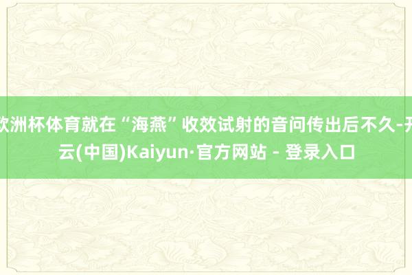 欧洲杯体育就在“海燕”收效试射的音问传出后不久-开云(中国)Kaiyun·官方网站 - 登录入口