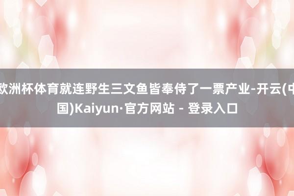 欧洲杯体育就连野生三文鱼皆奉侍了一票产业-开云(中国)Kaiyun·官方网站 - 登录入口